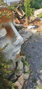 B&B / Chambres d'hotes A l'oree des volcans : photos des chambres