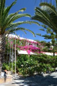 Asteri Hotel Patmos Greece