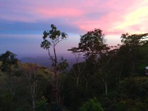 Bungalow in the Clouds