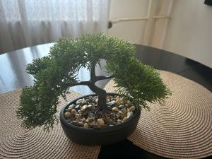 Cozy apartment in city center Most