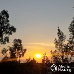 203 Arje Suites Campestre by Alegría Housing