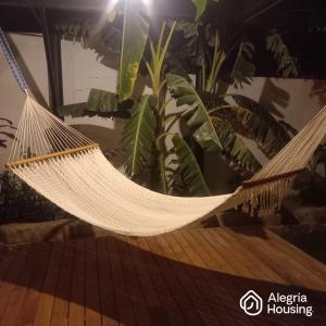 104 Arje Suites Campestre by Alegría Housing