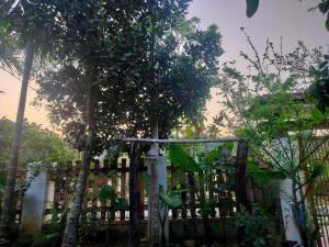 Quốc Cảnh Homestay