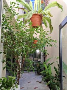 Georgetown vintage garden 5pax 2BR Homestay