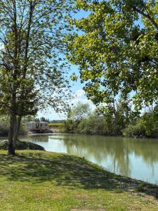 Campings Mobile home du lac : photos des chambres