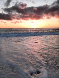 Elegant apartament 150m from the beach