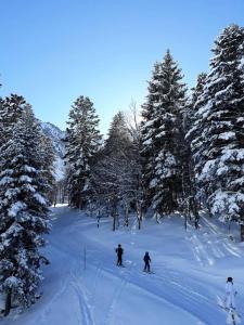 Appartements Residence Lienz - Studio avec petite terrasse expose Sud proche du centre de Bareges MAE-8604 : photos des chambres