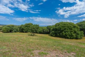 Stella Marina Piscina e Vista Mare img29
