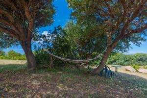 Stella Marina Piscina e Vista Mare img25