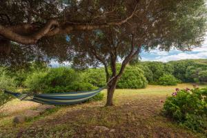 Stella Marina Piscina e Vista Mare img3