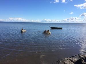 The Fishermans Net House