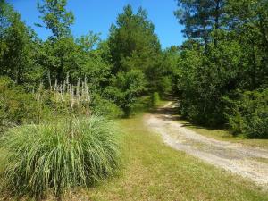 Maisons de vacances Jolie longere en pleine nature : photos des chambres