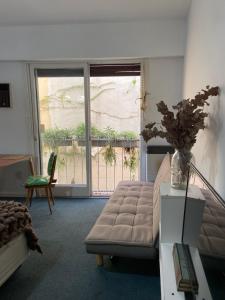 Mono - Strutture non classificate a Buenos Aires