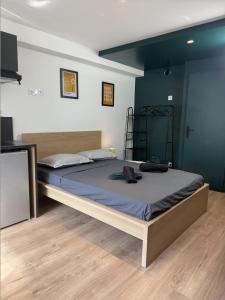 Appartements Le Jungle : photos des chambres