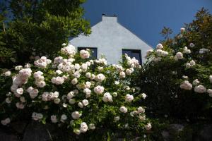 Ferienhaus Sonnensteg 23