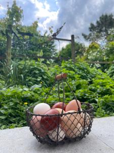Echappée belle verdoyante 20 kms du Puy