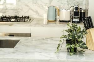 Sydney City CBD 2 bed Close to darling harbour ICC