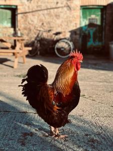 Shepherds Hut - Brecon Beacons