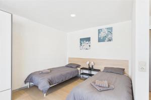 Modern Apartment in Aizkraukle