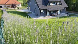 Apartmani Sanja 