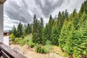 Forest Harmony 1BD with Balcony & Parking by Flat Manаger