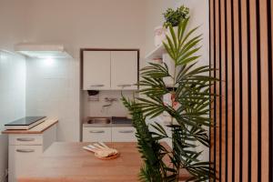 Zora Apartment Roiano