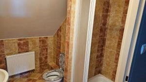 Kurka wodna Siemiany