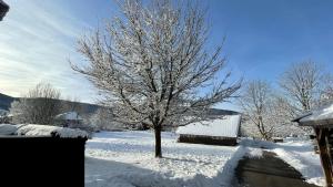 Appartements ※ Residence POMME DE PIN - Terrasse - Nature ※ : photos des chambres