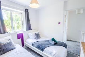 Central 3BR House - free parking - fast WI-FI