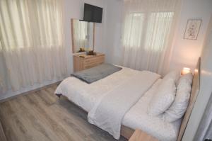 Vasilikis spacious apartment