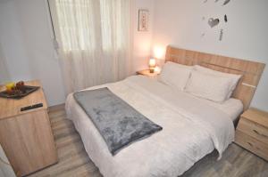 Vasilikis spacious apartment