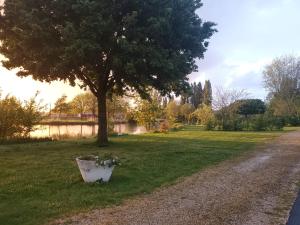 Campings Camping de Gracay : photos des chambres