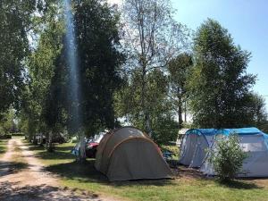 Campings Camping le Ranch - Naujac sur Mer : photos des chambres