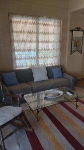 Cozy apartment in great neighborhood