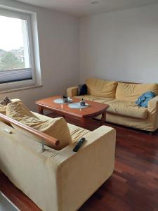 Wynajme domek, pokój