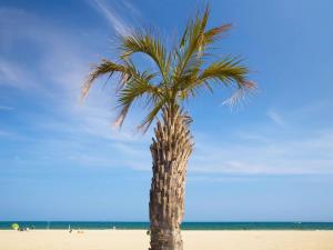 Hotels HotelF1 Perpignan Sud : photos des chambres