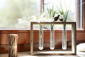 Ferienhaus May App 1