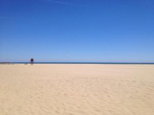 Los Albatros Isla Canela