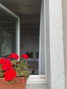 CORTE CAIAR Bed&Breakfast