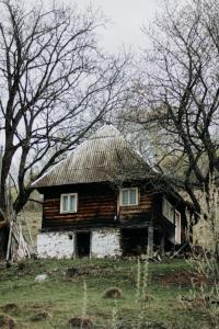 Cabana Virful Muntelui