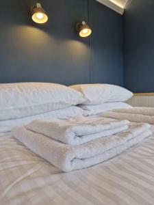 Oak Moor Shepherd Hut - Brecon Beacons, LD3 7TD