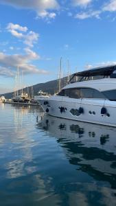 Seafront Villa Montenegro1 min to the Sea