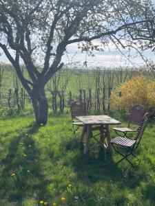 Ferienwohnung Storchenwiese im Fränkischen Seenland