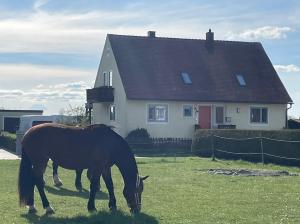 Ferienwohnung Storchenwiese im Fränkischen Seenland