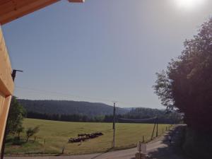 Maisons de vacances Chalet des 4 Vents: Nature et Activites Vosges - FR-1-589-815 : photos des chambres