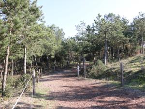 Appartements Studio Neuf 23m² Proche Plage et Centre Tout Inclus - FR-1-364-183 : photos des chambres