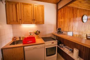 Appartements Les Tilleuls 24 - balcon vue montagne : Appartement 1 Chambre