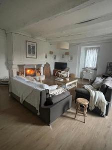 Maisons de vacances Large charming house surrounded by nature : photos des chambres
