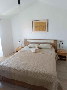 Holiday home in Moscenice 15209