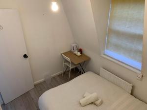 WARREN STREET GUEST HOUSE